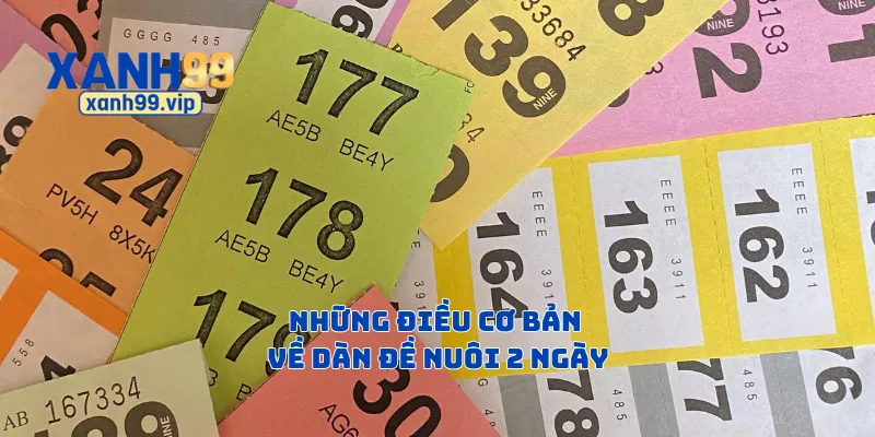 Những điều cơ bản về dàn đề nuôi 2 ngày