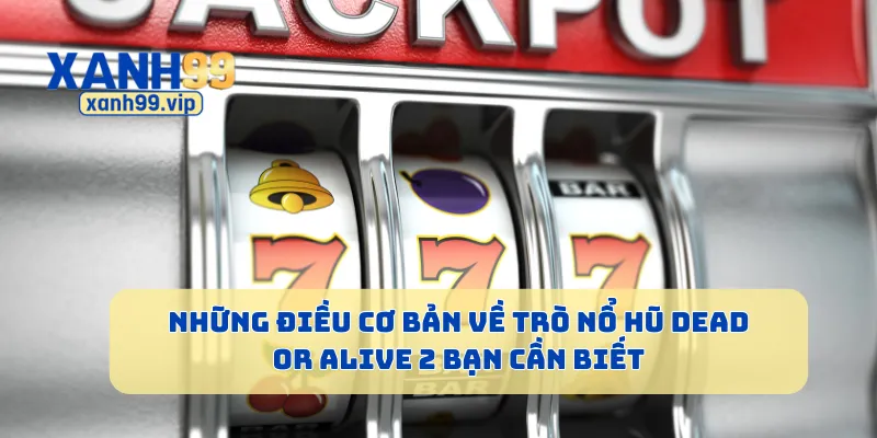Những điều cơ bản về trò nổ hũ Dead or Alive 2 bạn cần biết