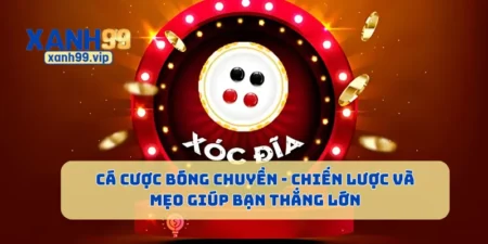 Mẹo Chơi Xóc Đĩa - Chiến Thuật Giúp Bạn Luôn Thắng Khi Chơi