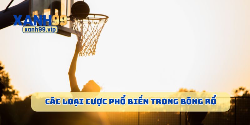 Các loại cược phổ biến trong bóng rổ
