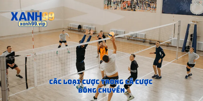 Các loại cược trong cá cược bóng chuyền