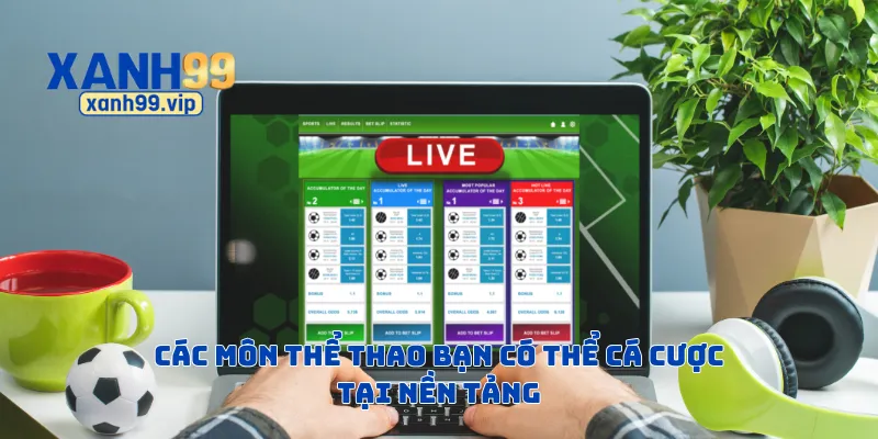 Các môn thể thao bạn có thể cá cược tại nền tảng