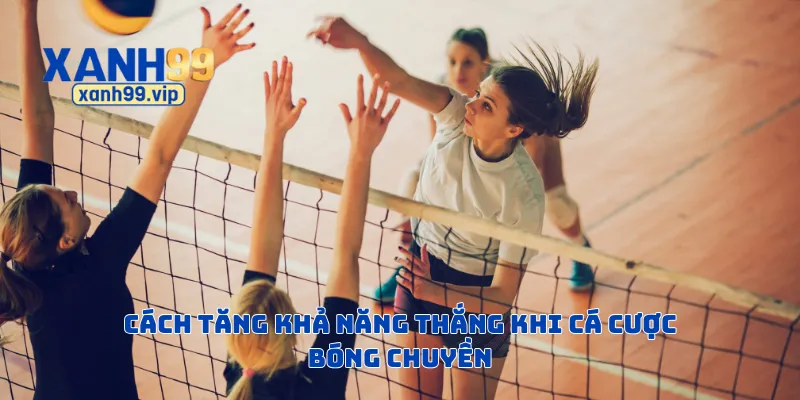 Cách tăng khả năng thắng khi cá cược bóng chuyền