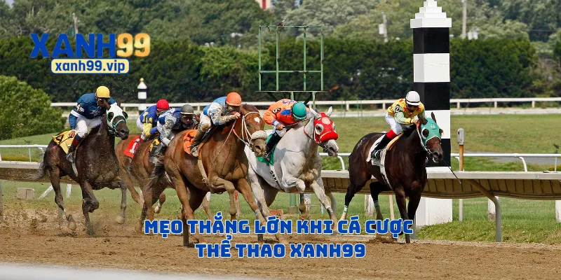 Mẹo thắng lớn khi cá cược thể thao Xanh99